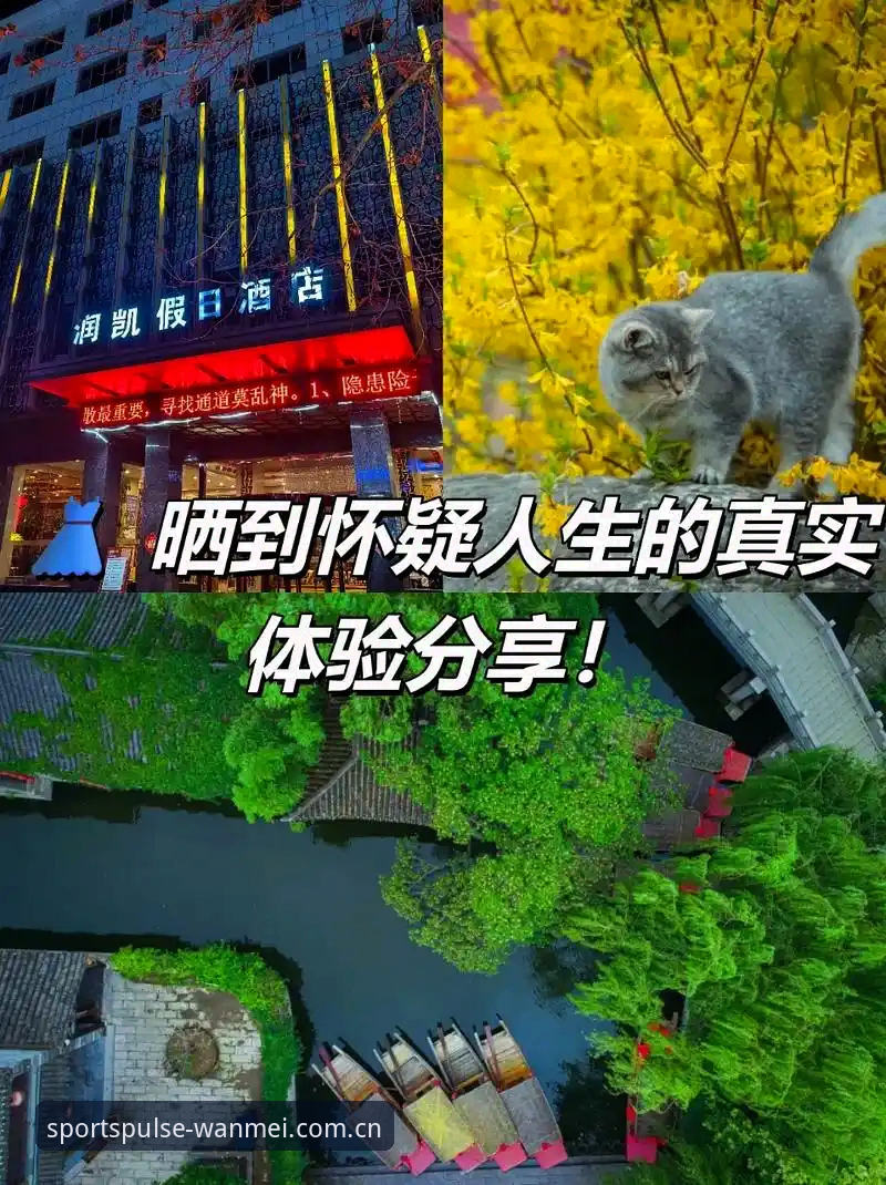 完美体育官网登录入口 完美体育平台到底值不值得下载?一个老用户的真实体验分享